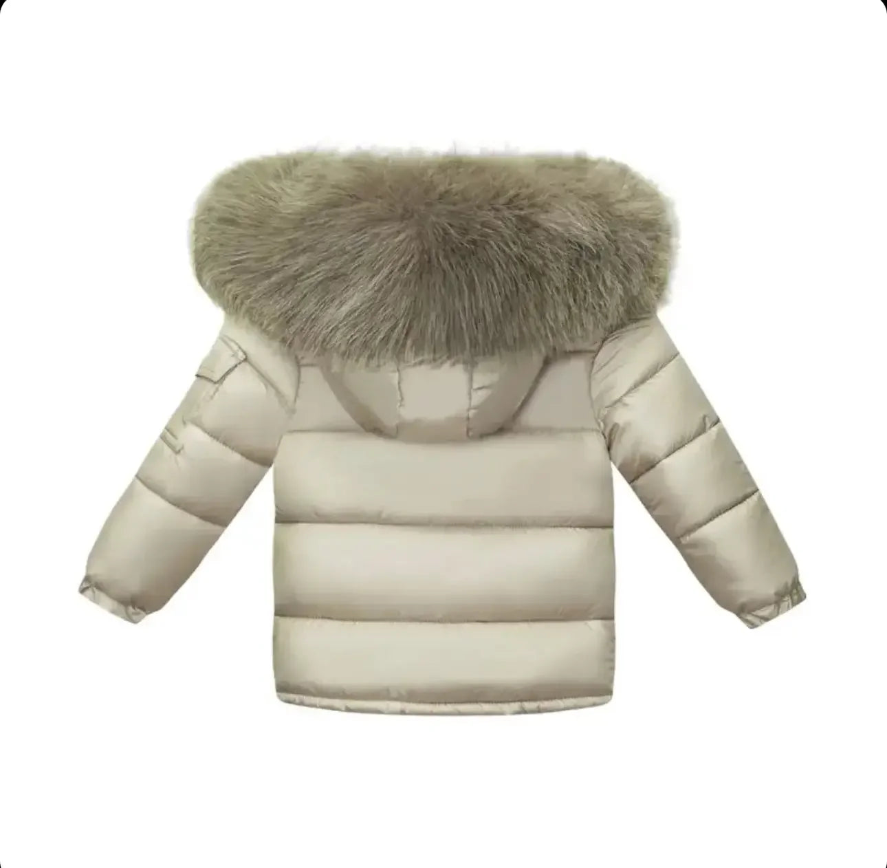 Beige puffer jacket with large gray fur-lined hood, padded winter coat, back view