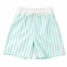 Boys Summer Mint Stripe Swimming Shorts Dainty Delilah